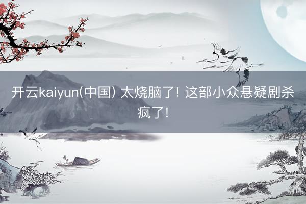开云kaiyun(中国) 太烧脑了! 这部小众悬疑剧杀疯了!