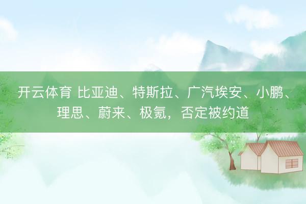 开云体育 比亚迪、特斯拉、广汽埃安、小鹏、理思、蔚来、极氪，否定被约道