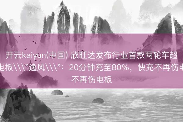 开云kaiyun(中国) 欣旺达发布行业首款两轮车超充电板\