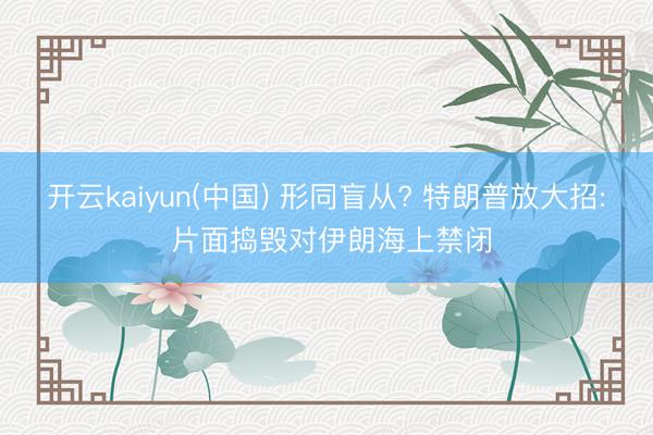 开云kaiyun(中国) 形同盲从? 特朗普放大招: 片面捣毁对伊朗海上禁闭