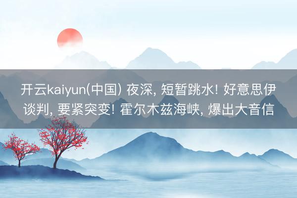 开云kaiyun(中国) 夜深， 短暂跳水! 好意思伊谈判， 要紧突变! 霍尔木兹海峡， 爆出大音信