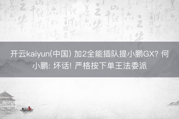 开云kaiyun(中国) 加2全能插队提小鹏GX? 何小鹏: 坏话! 严格按下单王法委派