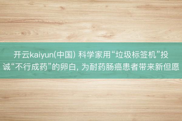 开云kaiyun(中国) 科学家用“垃圾标签机”投诚“不行成药”的卵白， 为耐药肠癌患者带来新但愿
