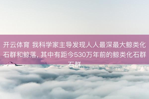开云体育 我科学家主导发现人人最深最大鲸类化石群和鲸落， 其中有距今530万年前的鲸类化石群